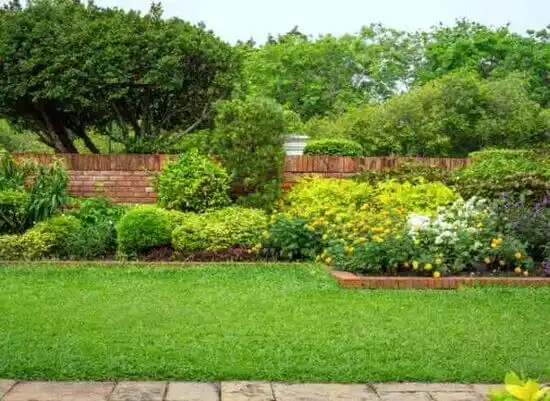 landscaping services Excelsior